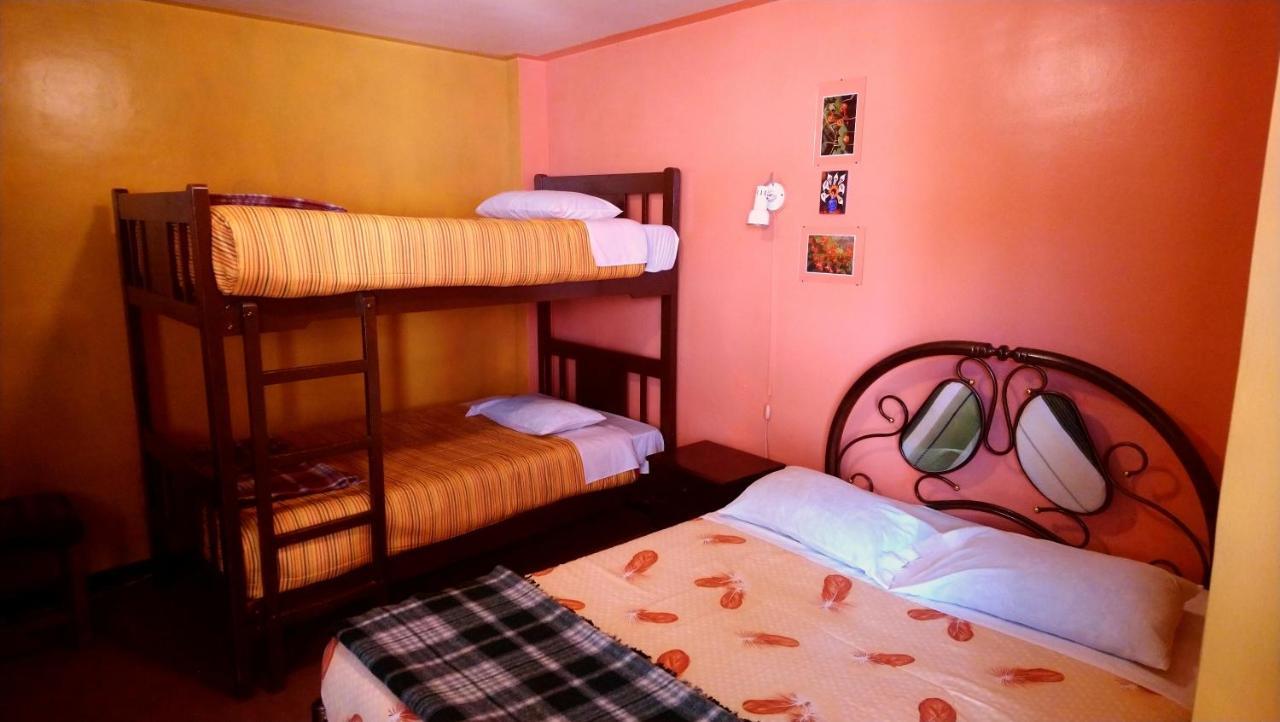 Hotel La Casa Del Manzano à Puno Extérieur photo